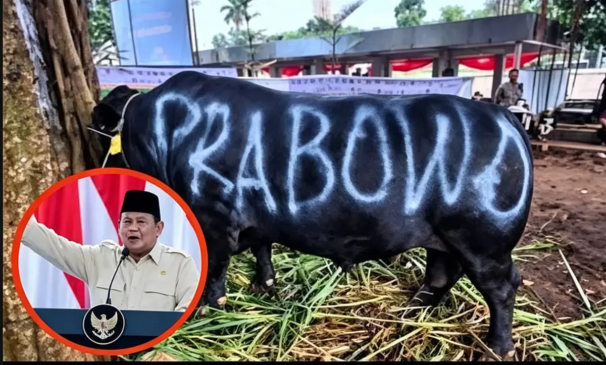 1.098 Sapi Kurban Milik Prabowo Dibeli Pakai APBN, Jadi Utang yang Disebut Utang Negara